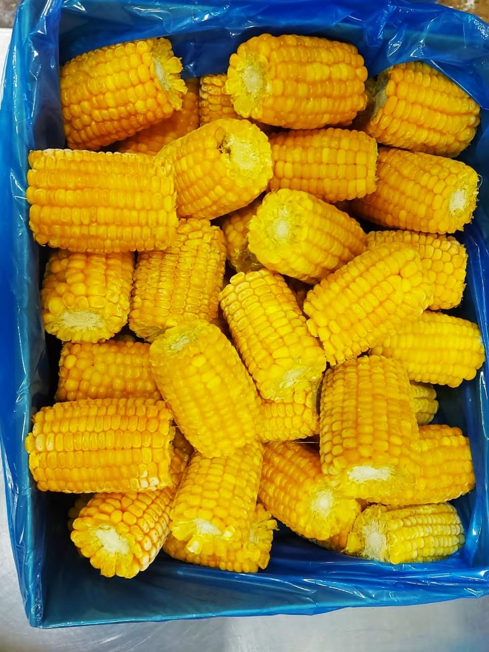 Sweet corn