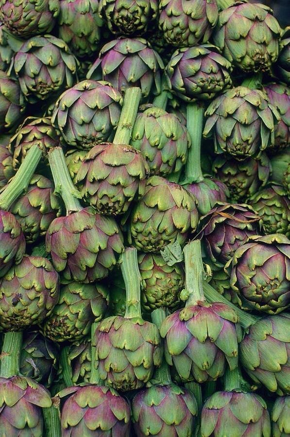 artichoke