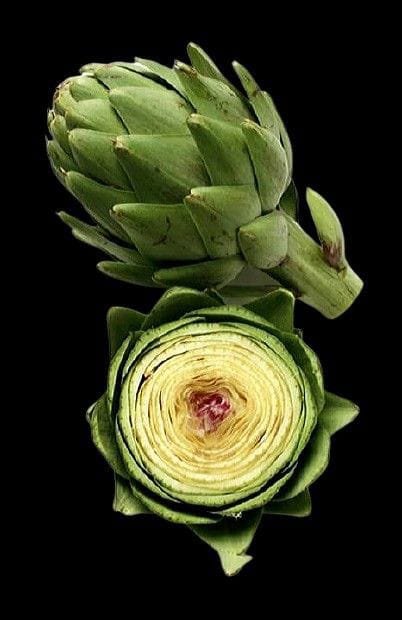 artichoke