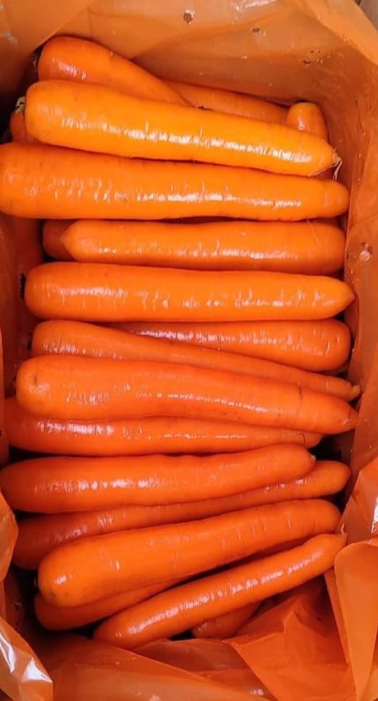 Carrot(Crinkle) 